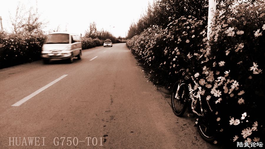 ���� (4).jpg