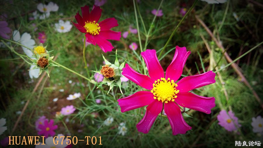 ���� (6).jpg