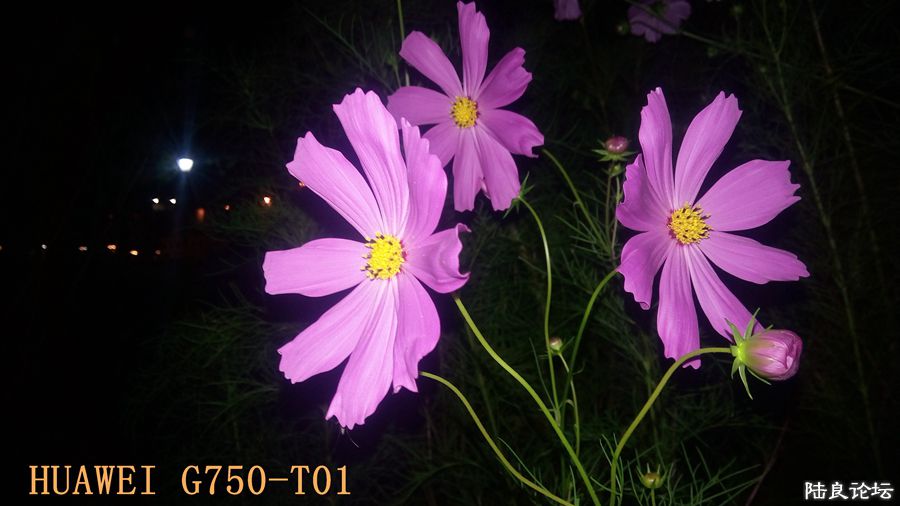 ���� (9).jpg