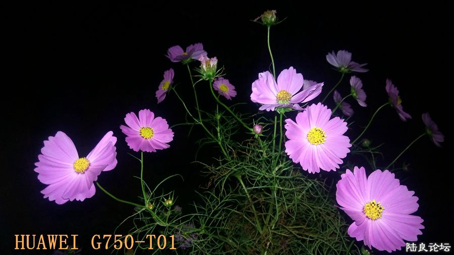 ���� (10).jpg