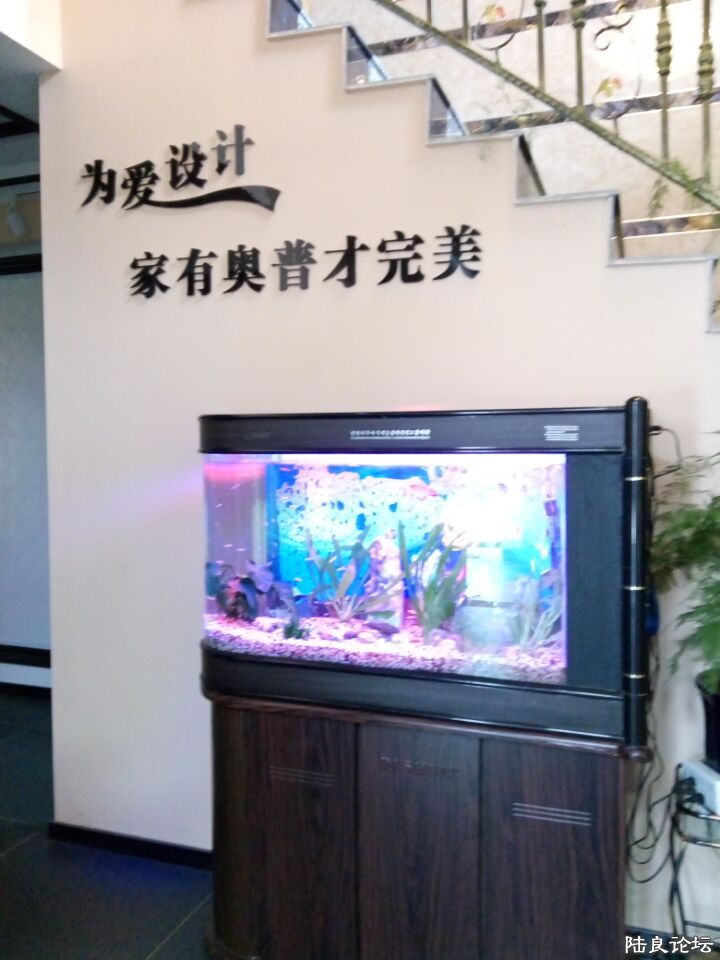 ����1 - ����.jpg