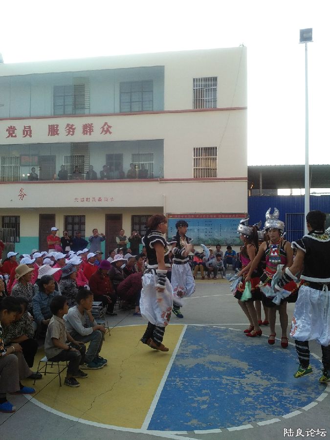 ����ı���