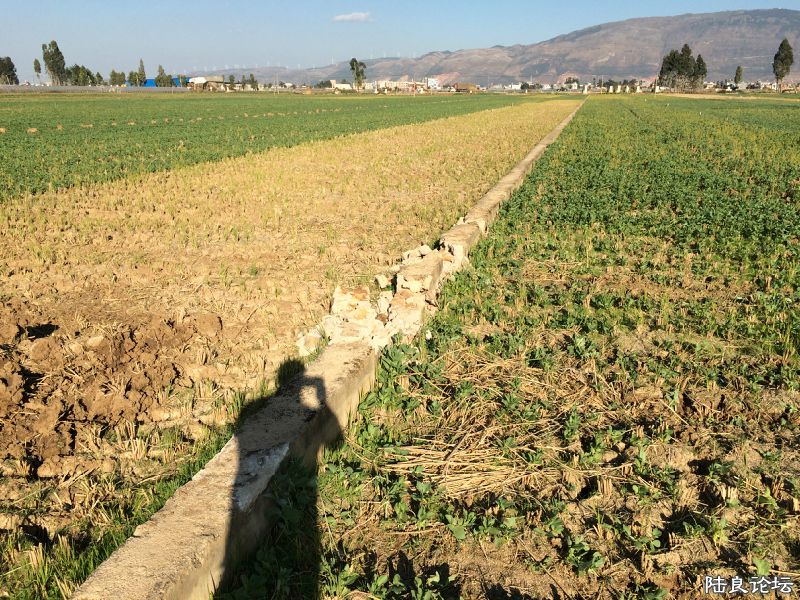 �ƻ�����ũ����ʩ