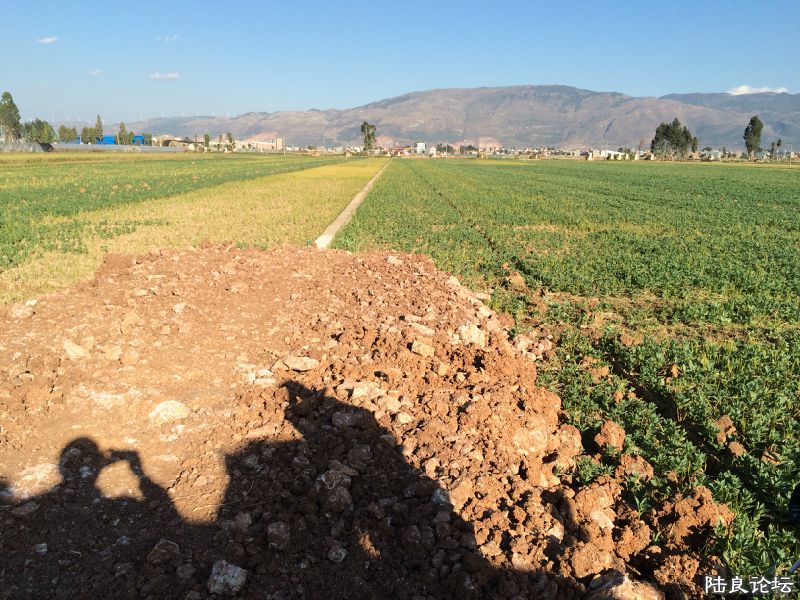 �ƻ�����ũ����ʩ