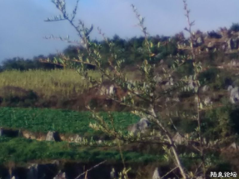 �������Ƶ��ɾ�----������