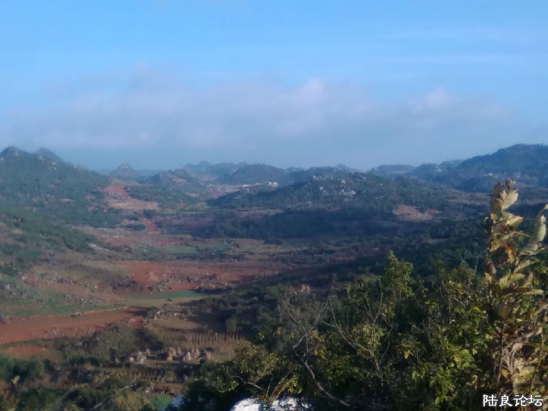 �������Ƶ��ɾ�----������