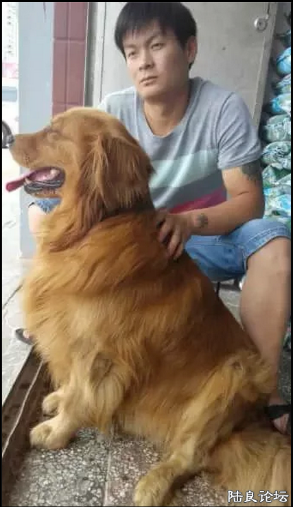 С������ƤƤ