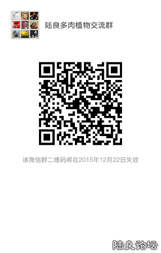 mmqrcode1450147953321.png