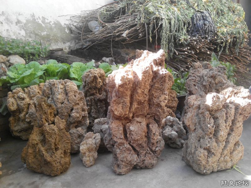 ��50��60����  