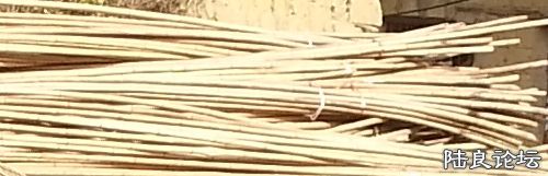 �����ʹ�ù�һ��