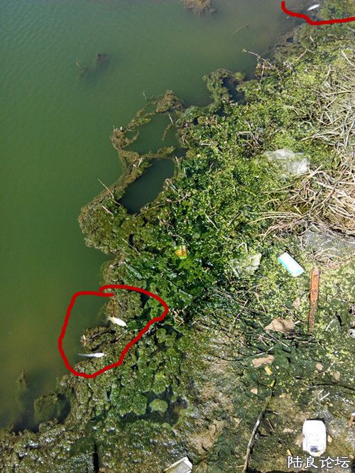 ˮ�ݱ���������