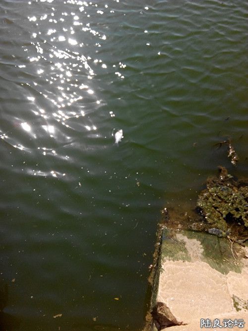 �����㲻�Ϸ�������