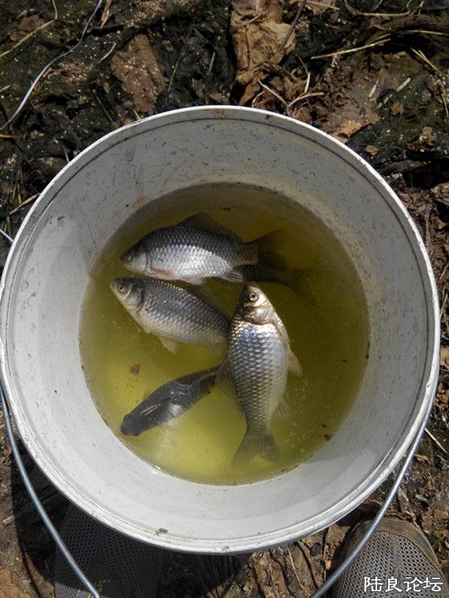 �����������İ����������