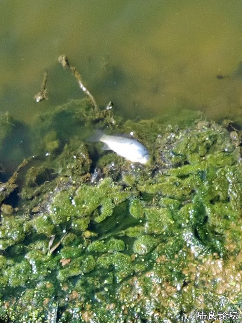 ˮ�ݱ���������