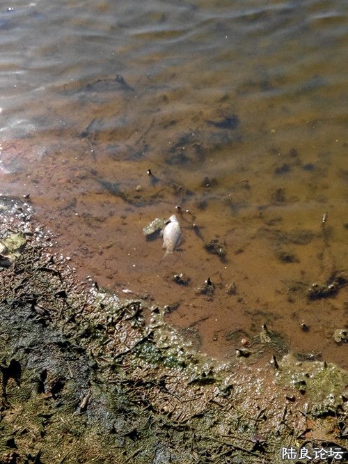 ˮ�ݱ���������