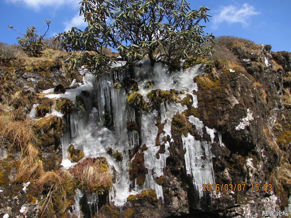 dFcBAAAAAAAA&amp;bo=wAPQAgASgA0FAK0!&amp;rf=viewer_4 (5).jpg