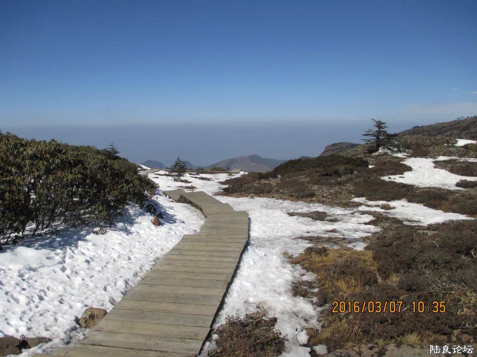 dFgBAAAAAAAA&amp;bo=wAPQAgASgA0FAK0!&amp;rf=viewer_4 (2).jpg