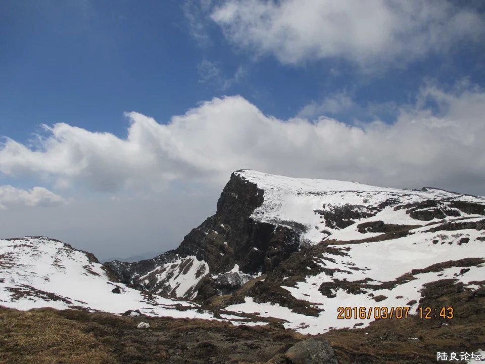 dFgBAAAAAAAA&amp;bo=wAPQAgASgA0FAK0!&amp;rf=viewer_4 (5).jpg