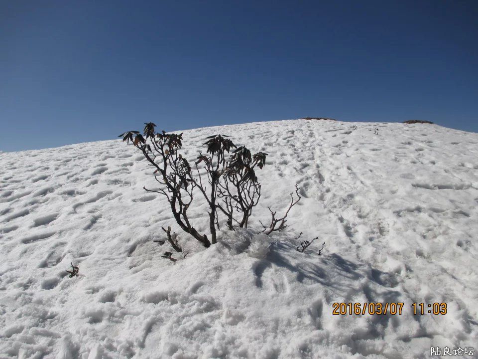 dFoBAAAAAAAA&amp;bo=wAPQAgASgA0FAK0!&amp;rf=viewer_4 (4).jpg