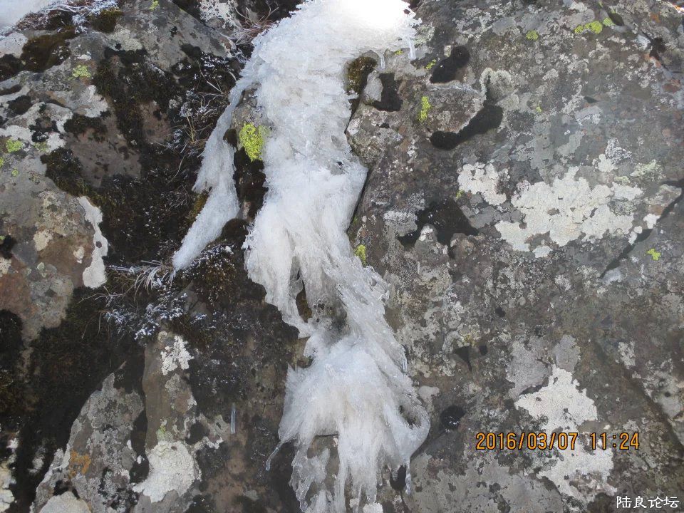 dFoBAAAAAAAA&amp;bo=wAPQAgASgA0FAK0!&amp;rf=viewer_4 (6).jpg