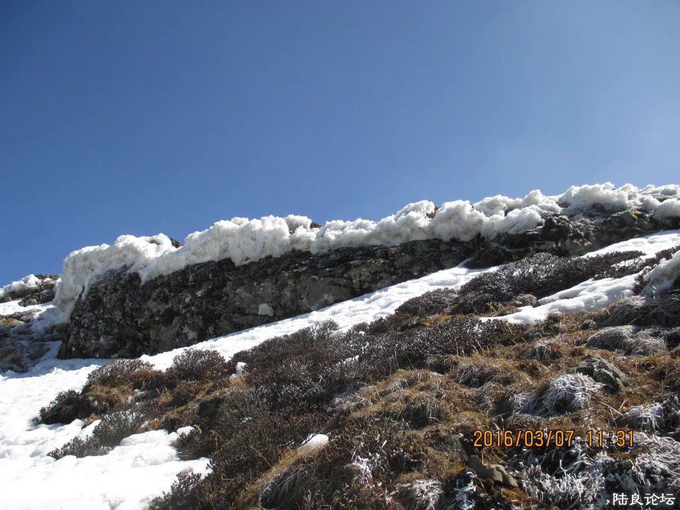 dFoBAAAAAAAA&amp;bo=wAPQAgASgA0FAK0!&amp;rf=viewer_4 (7).jpg