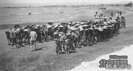 �����������޽�ˮ��ĳ�����