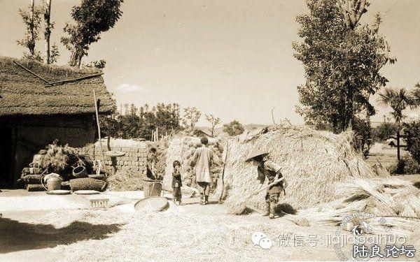 ��ʱ���������ӵ�����᲻�ø�����ιʳ��Ҫ�������ǲݷ�����