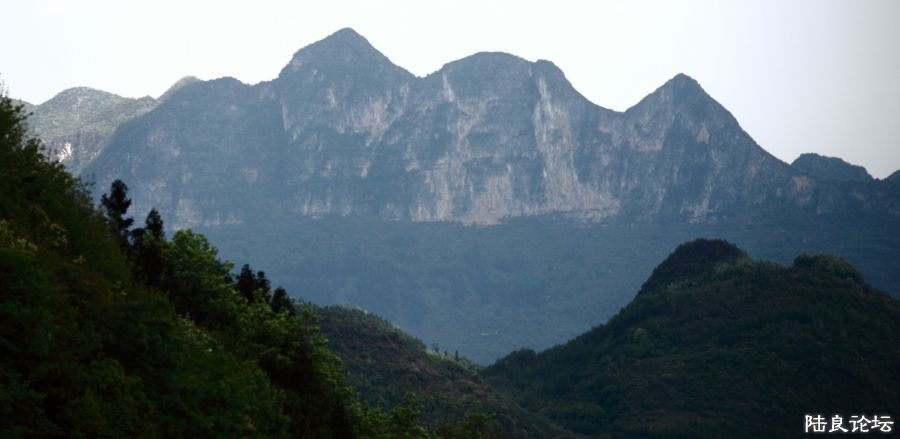 ���� (21).JPG