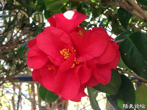 �����ʮ�˰��������ۡ�