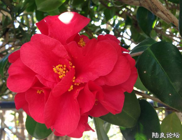 �����ʮ�˰��������ۡ�