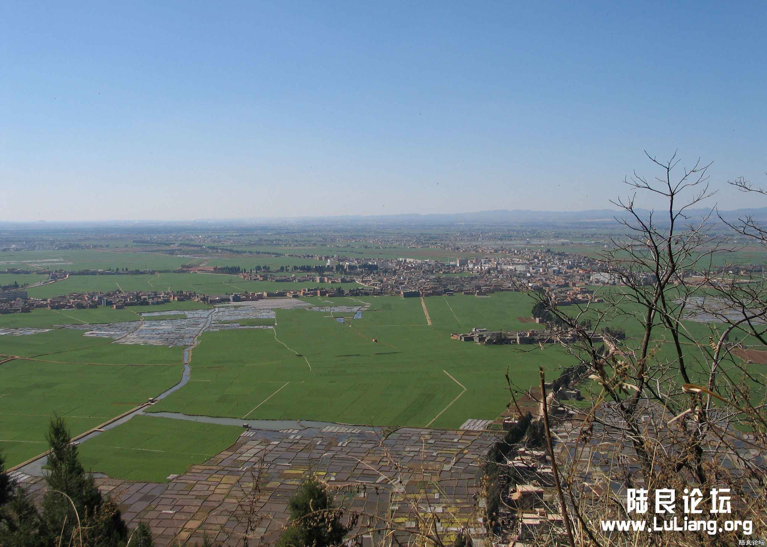 �����¿�½��