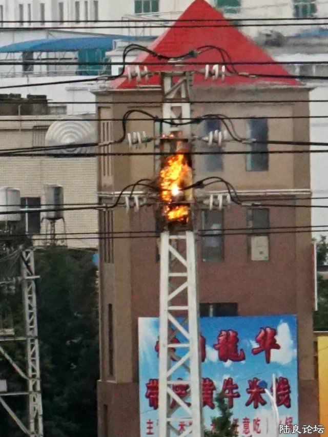 ϲȵ�ұ�����