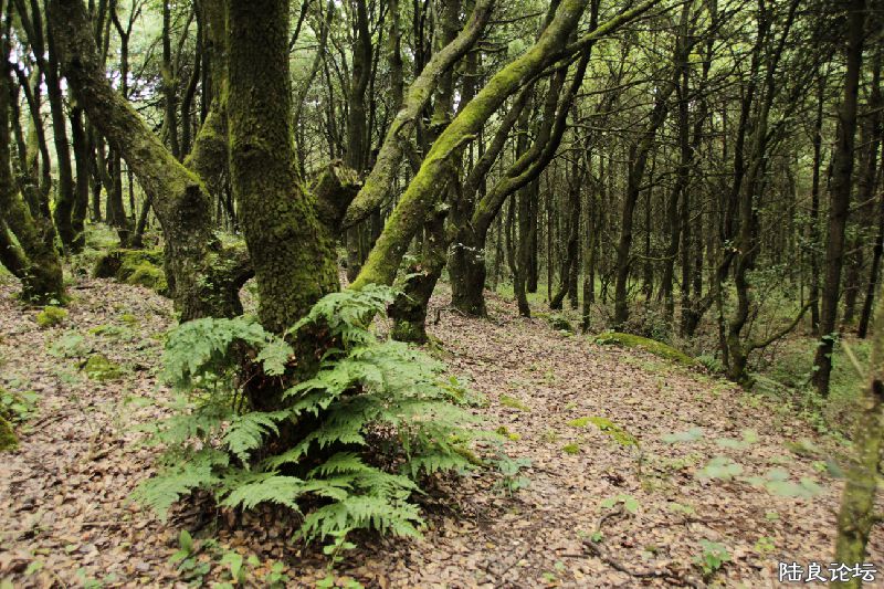 �Ҽ���̬������