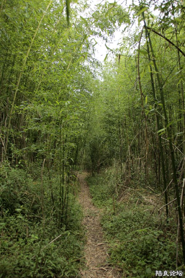 �Ҽ����Ƴ�������С��