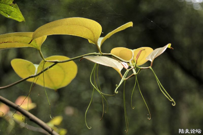 �����ٿ�