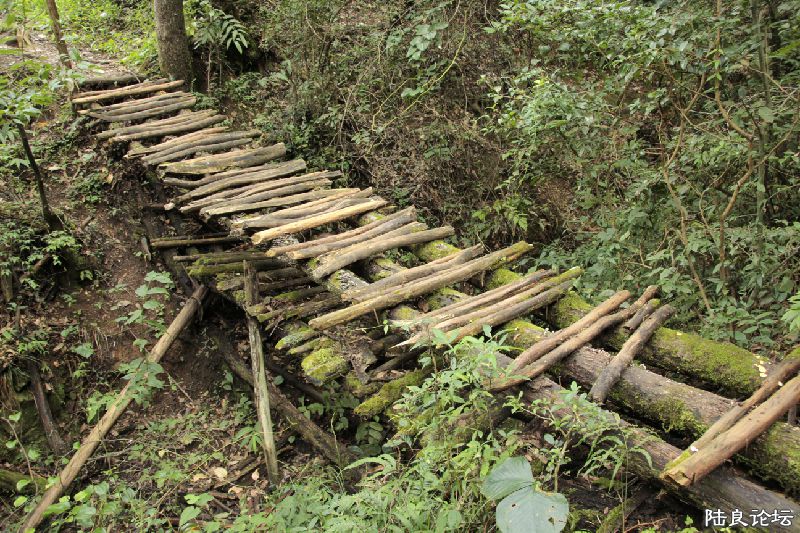 ��û�������ɾ��ĸо�