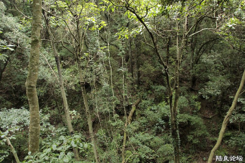 �����д�