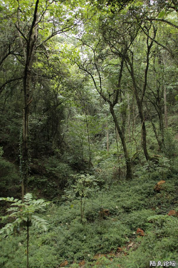 ������������Ů��