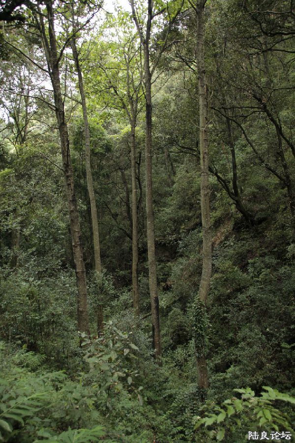 ���ǻ�Ǯ�ݰɣ�