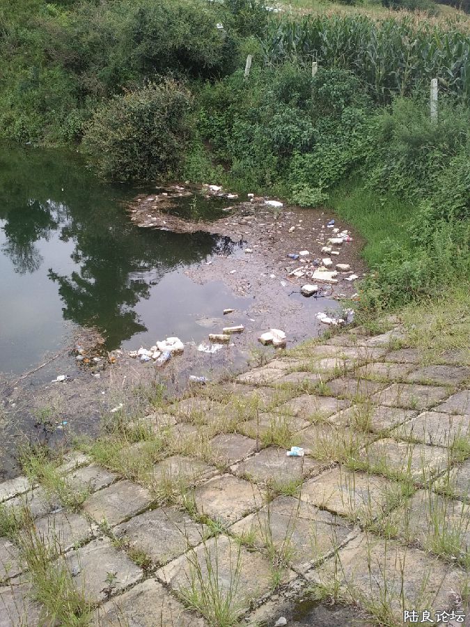 ��Ư���ġ�ˮ���