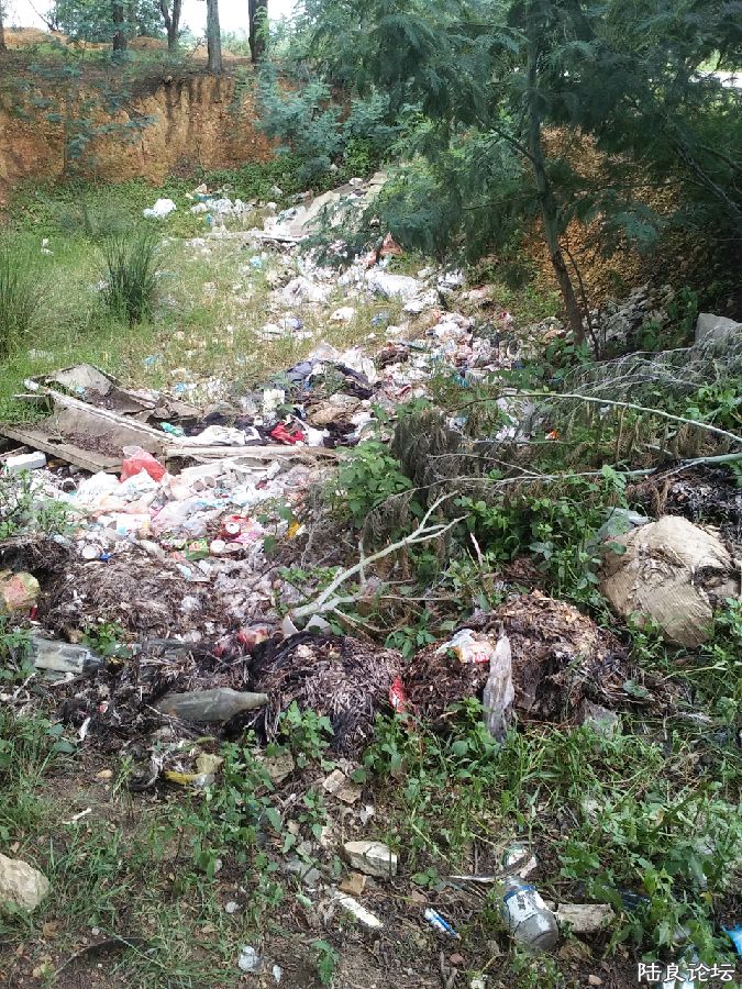 ���50�׵�����