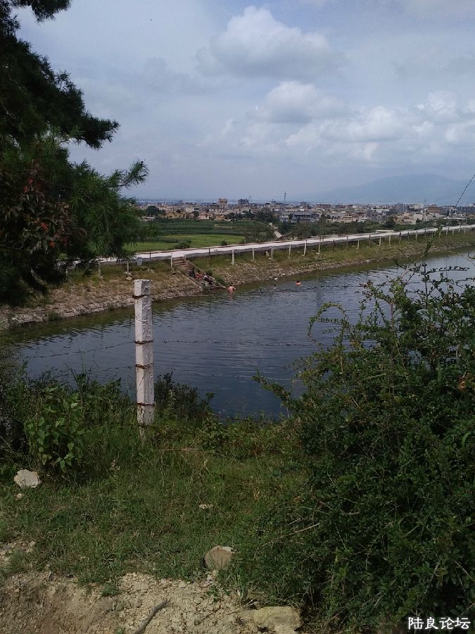 ���ֵ�����