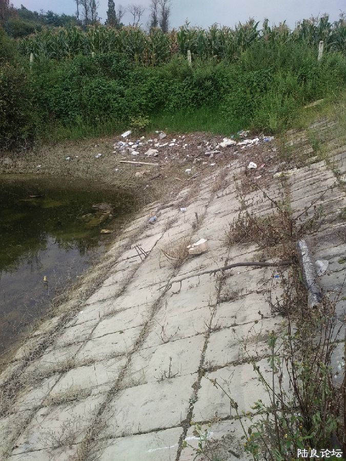 ˮ���½���������