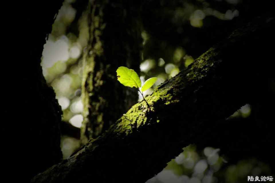 һ˿����һ����