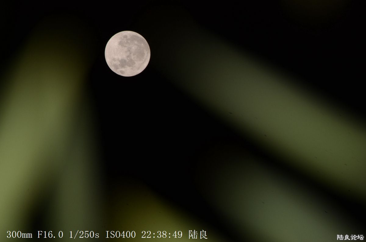 月亮 (3).jpg