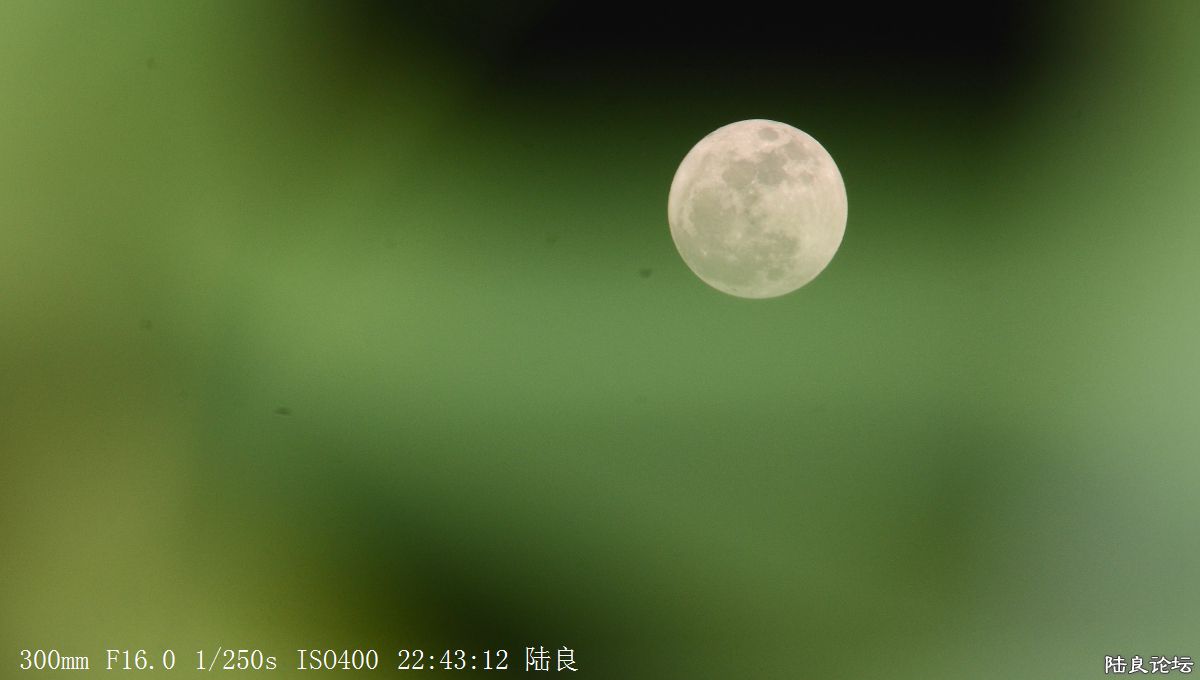 月亮 (6).jpg