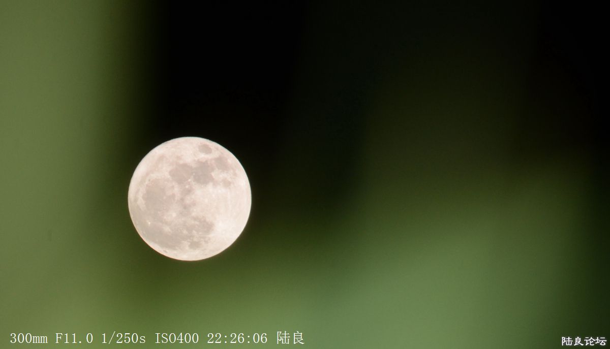月亮 (4).jpg