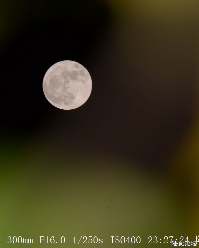 月亮 (10).jpg