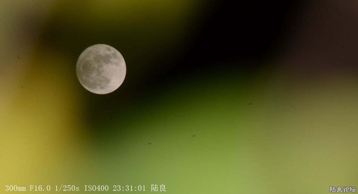 月亮 (11).jpg
