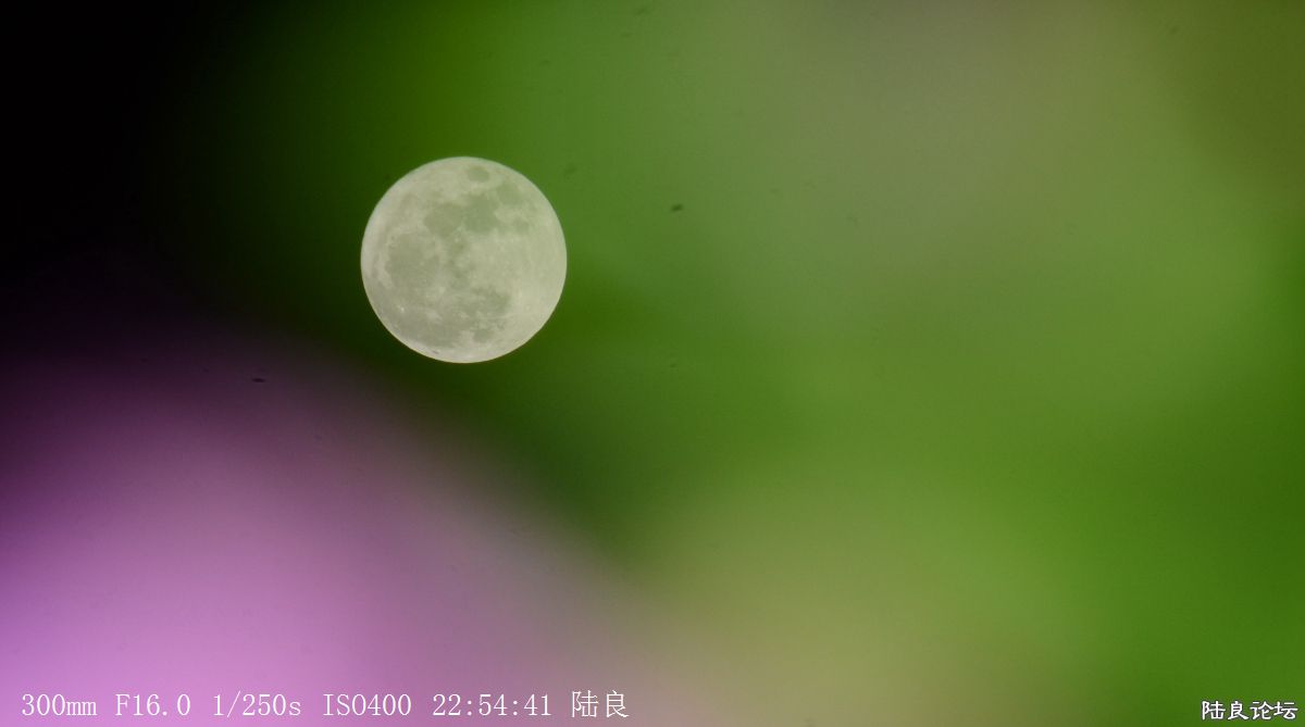 月亮 (7).jpg
